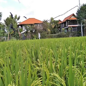 **** Gasthof Umah Watu Indonesien